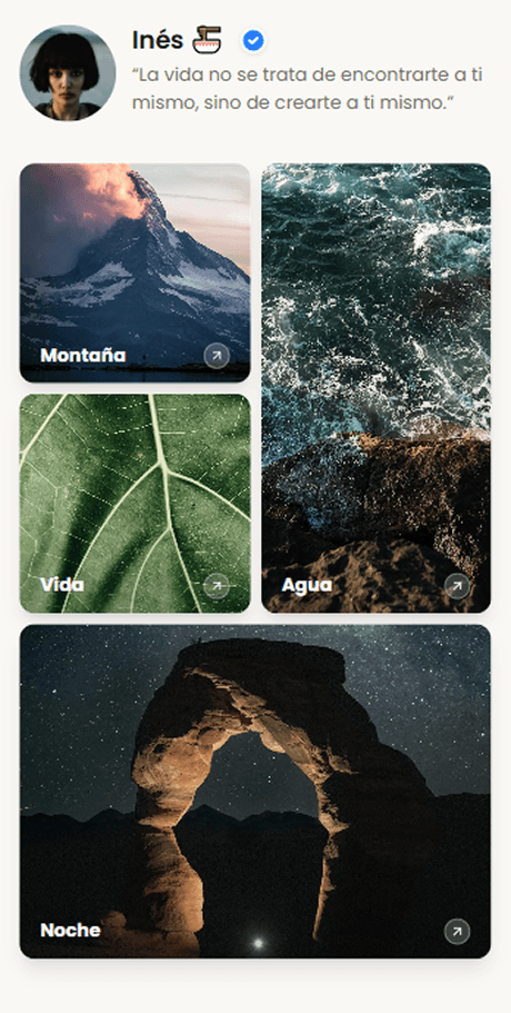 Ejemplo de vista móvil en Beetter
